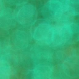 Bokeh-434